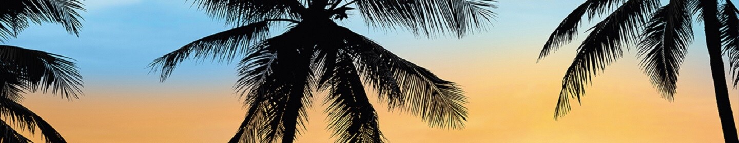 -30%* em seleção de produtos